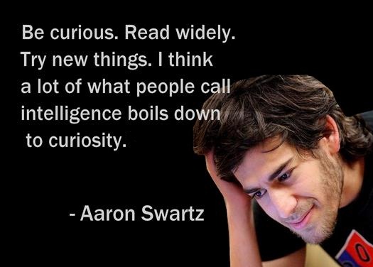 be-curious-read-widely-try-new-things-i-think-a-lot-of-what-people-call-intelligence-just-boils-down-to-curiosity-aaron-swartz-1986-2013